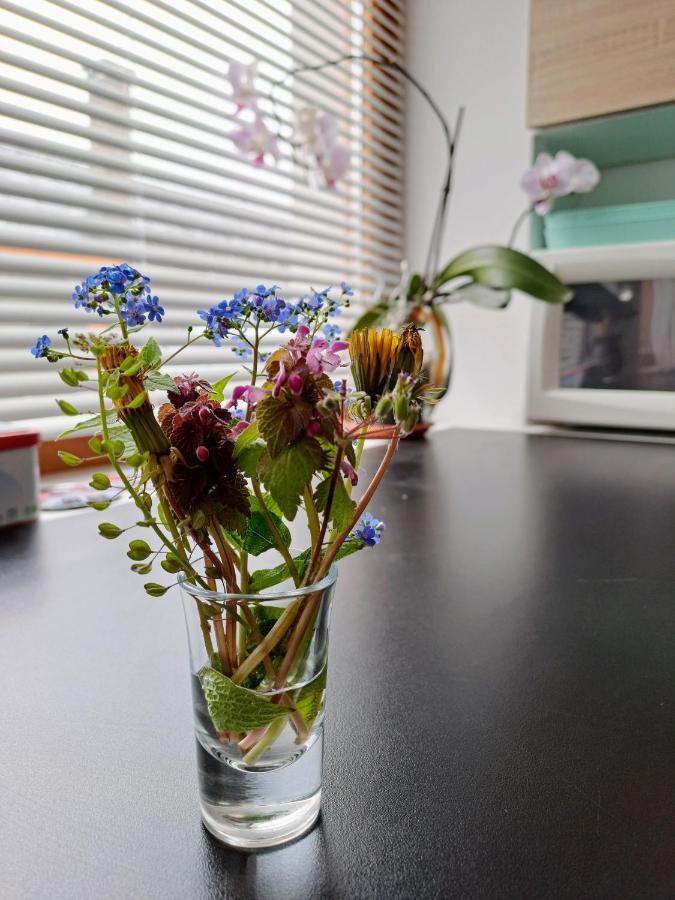 No°21 Apartman Szilvásvárad Kültér fotó